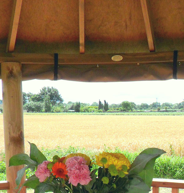 View of fields from inside gazebo